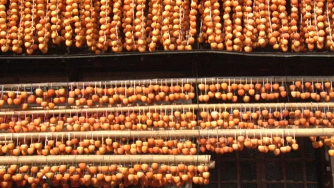 The Dried Persimmons Under the Eaves Stock Footage 332469767