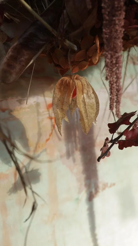 Dried Physalis and Botanical Autumn Floral Arrangement, Rustic Fall Decor, Verti Stock Footage 346640050