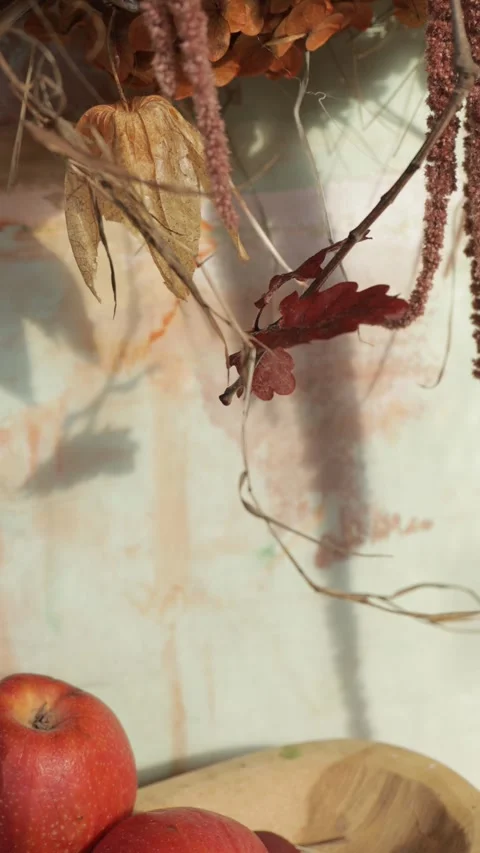 Dried Physalis and Botanical Autumn Floral Arrangement, Rustic Fall Decor, Verti Stock Footage 346640083