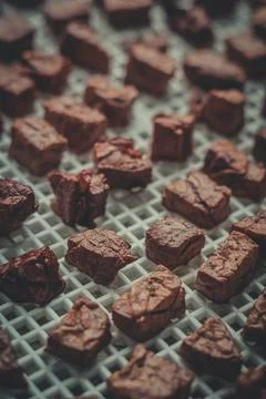 Dried pieces of meat in the tray of an electric dryer. Preparation of dehydrated Stock Photos