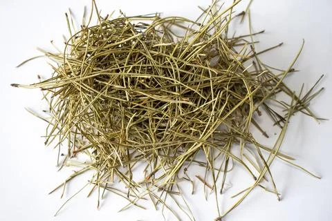 Dried pine needles on white background. Foto stock