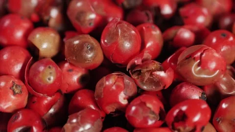 Dried pink pepper close-up macro. A bunch of natural pink pepper peas hot spice Stock Footage 257085272