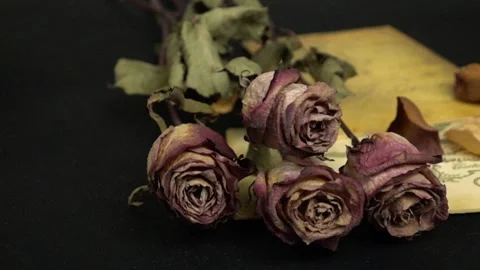 Dried pink roses, old documents and falling rose petals lie on a black table Video stock 321758182