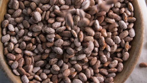 Dried Pinto Beans Video stock 144853384