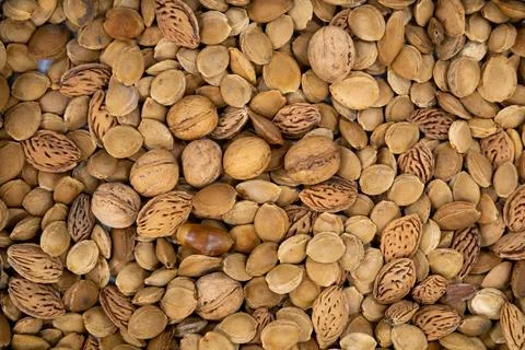 Dried pits and nuts texture background Stock Photos
