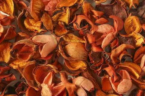 Dried plants background Stock Photos