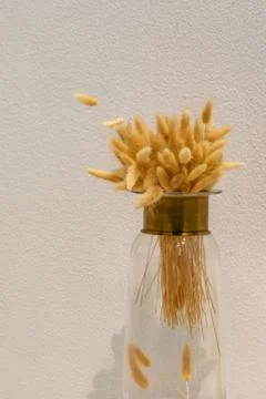 Dried plants on the wall background. Foto stock