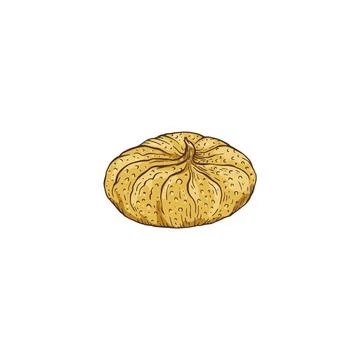 Dried preserved fig fruit hand drawn sketch vector illustration isolated. Stock Illustration
