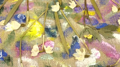 Dried pressed snowdrop and buttercup flowers lie on the burlap cloth  Stock Footage 333569600