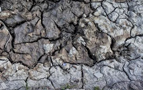 The dried puddle ,cracks on the ground Stockfoto's