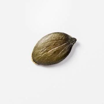 Dried pumpkin seed on white background Stock Photos