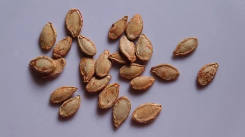 Dried pumpkin seeds scattered on a plain white surface Stock Footage 329615617