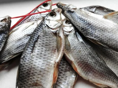 A dried ram on a white table is strung on a red ribbon. Dried fish in husks.  Stock Photos