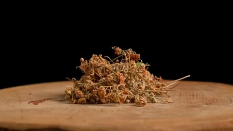 Dried Raw Linden Rotating Stock Footage 284278829