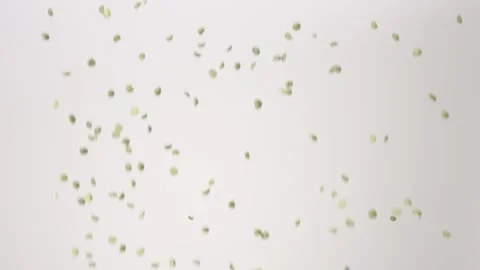Dried raw Split Peas Dal Indian Vegan Soup Hearty Raining Slow Motion White Stock Footage 336392086