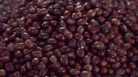 Dried Read Beans (not loopable) Vídeos de archivo 49083717
