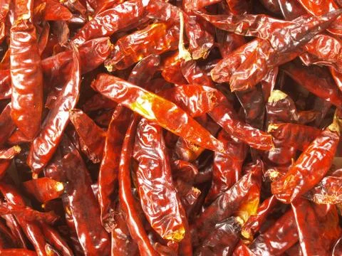 Dried red chilies Stock Photos