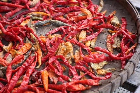 Dried red chilies Stock Photos