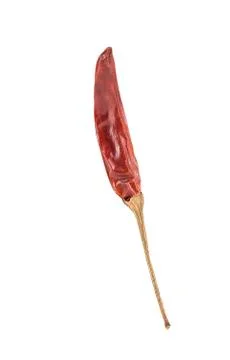 Dried red chilli  isolated on white background Stock Photos