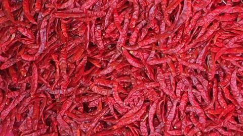 Dried red chilli lot. Stock-Fotos