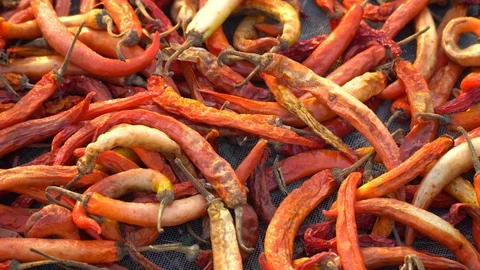 Dried red chilli pepper, food ingredient thailand Stock Footage 128719190