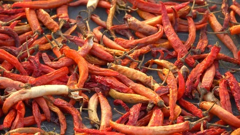 Dried red chilli pepper, food ingredient thailand Stock Footage 128719199