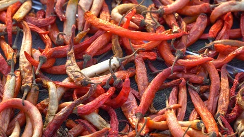Dried red chilli pepper, food ingredient thailand Stock Footage 128719207