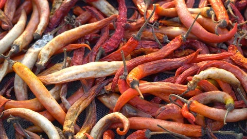 Dried red chilli pepper, food ingredient thailand Stock Footage 128719225