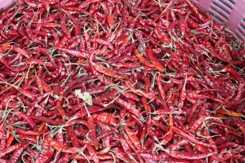 Dried red chilli Foto stock