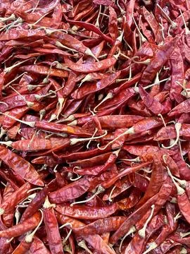 Dried red chilli. Stock Photos