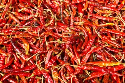 Dried red hot chilli pepper Stock Photos