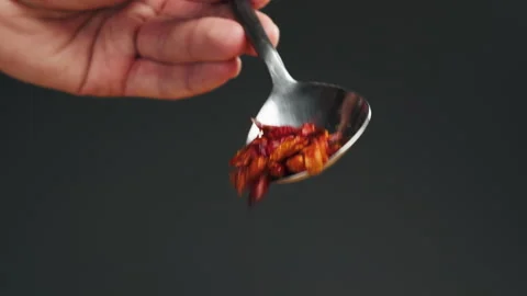 Dried red hot spicy chilli pepper on spoon close-up macro. Spice for food. Dried Video stock 260759923
