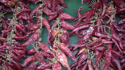 Dried red pepper. Dried small pepper on a string. Stock Footage 307042583