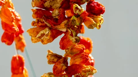 Dried red pepper hanging on the balcony of a house Video stock 250561875
