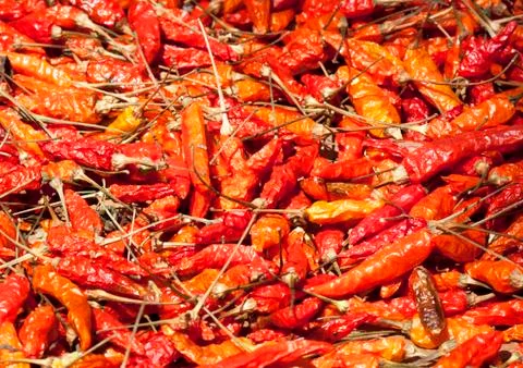 Dried red pepper Stock Photos