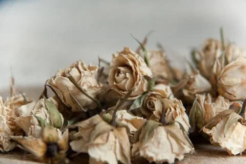 Dried red rose on white background. flower tea rose buds on old wooden table Stock Photos