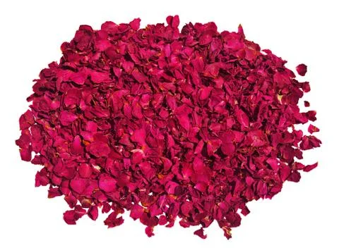 Dried red roses Stock Photos