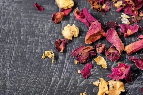 Dried red roses Stock Photos