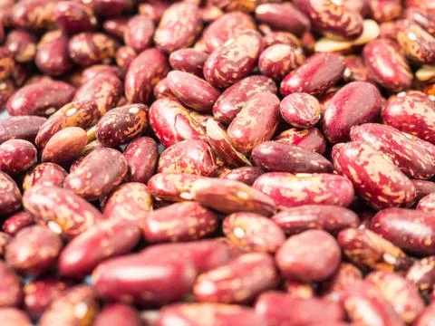 Dried red speckled beans for background and text Stock Photos