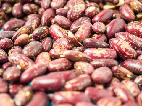 Dried red speckled beans for background and text Stock Photos