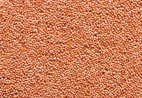 Dried red Split Lentils background. Stock Photos