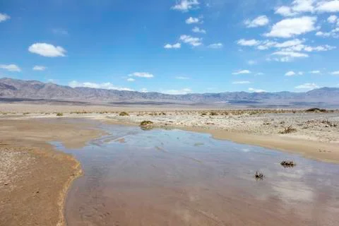 Dried river bed Stock Photos