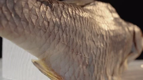 The dried river fish Vobla, close-up, on a black background Stock Footage 132566529