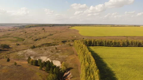 Dried river Stock Footage 146986224