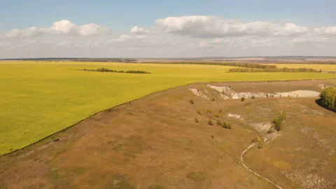 Dried river Stock Footage 147035981