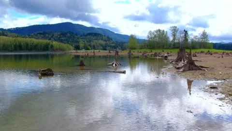 Dried Up River Video stock 160008363