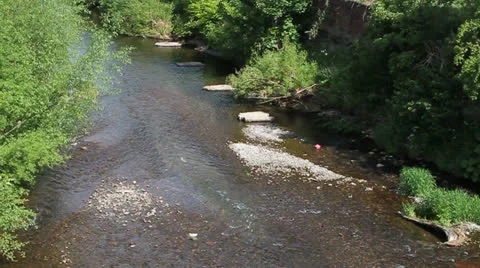 Dried up river - HD Stock Footage 24044459