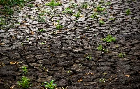 A dried river Stock Photos