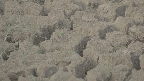 Dried Riverbed With Deeply Cracked Dry Soil 10bit slog3 Stock Footage 346013515