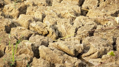 Dried Riverbed With Deeply Cracked Dry Soil Stock Footage 346015195